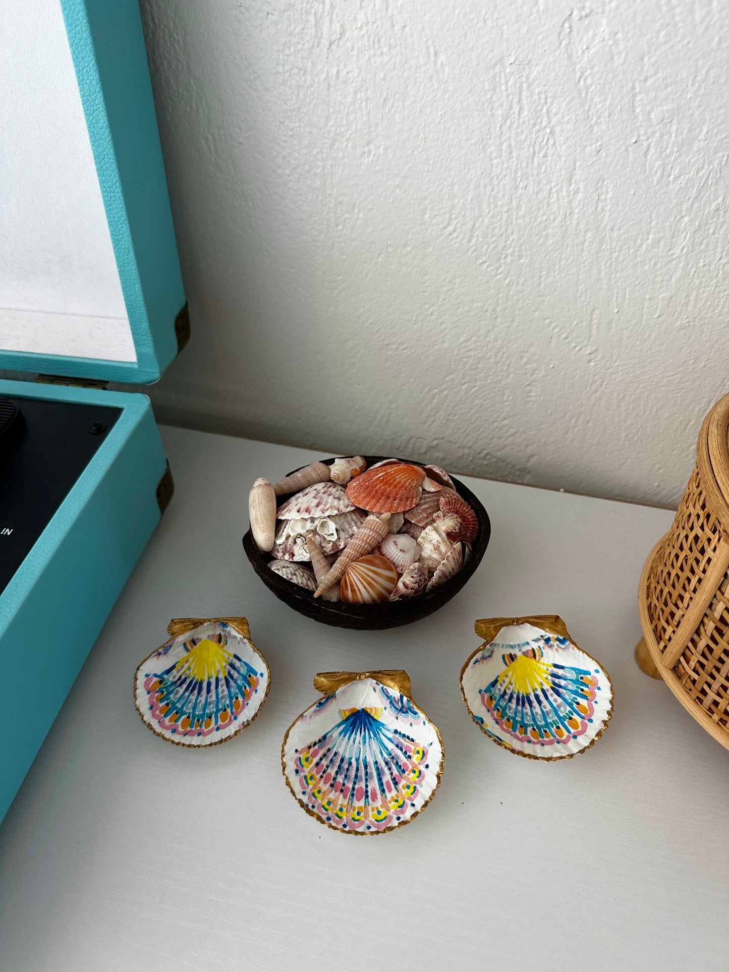 Crystal River Treasure scallop shell