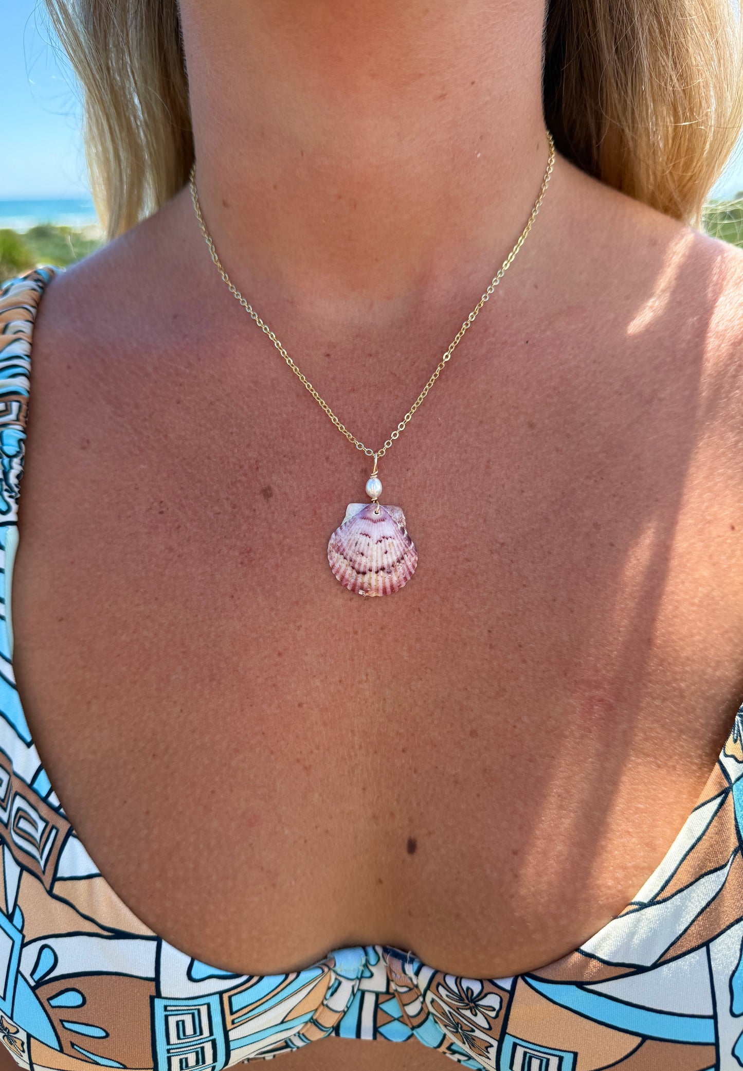Sunrise Calico Shell