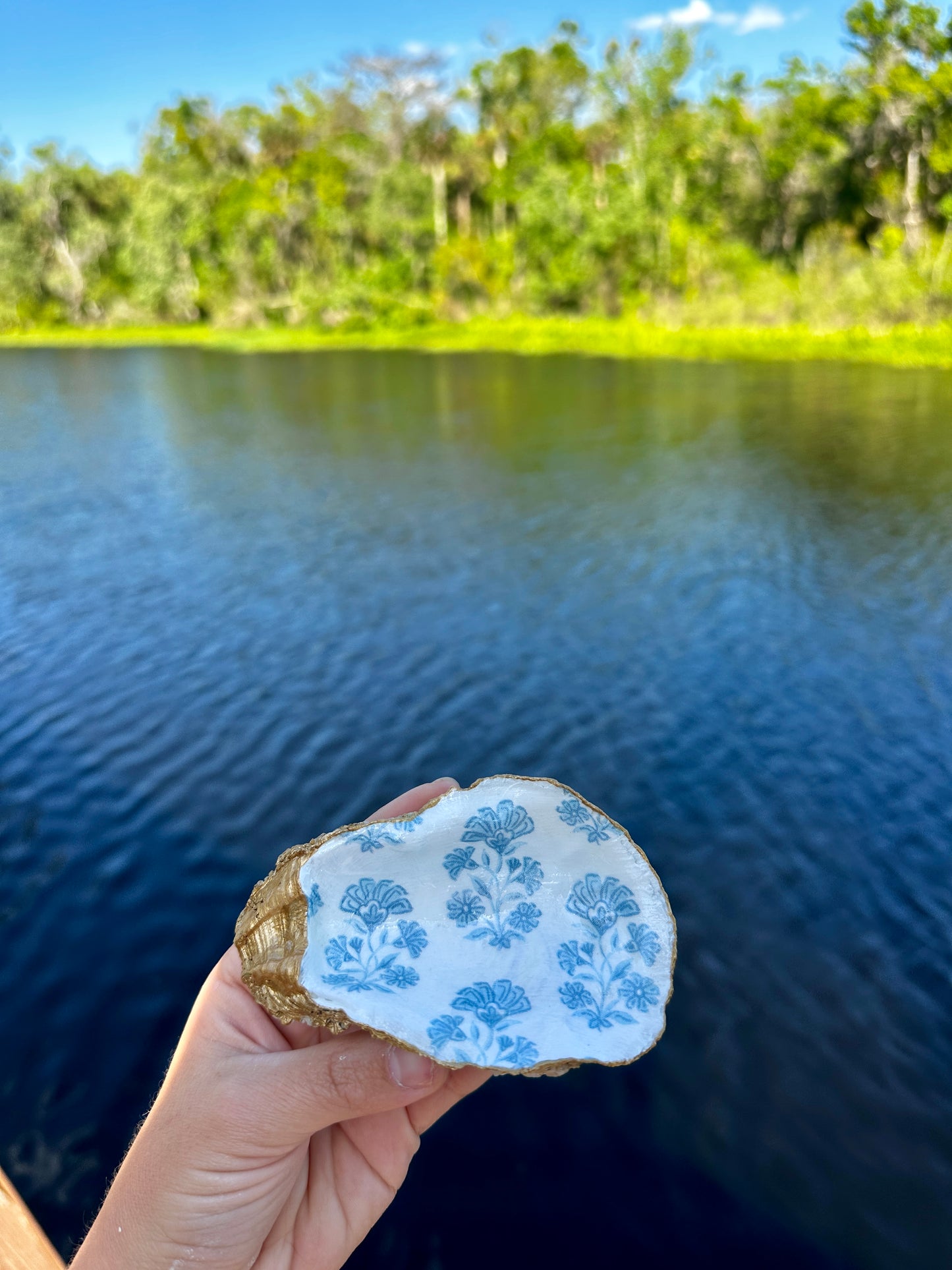 Carolina Oyster Large