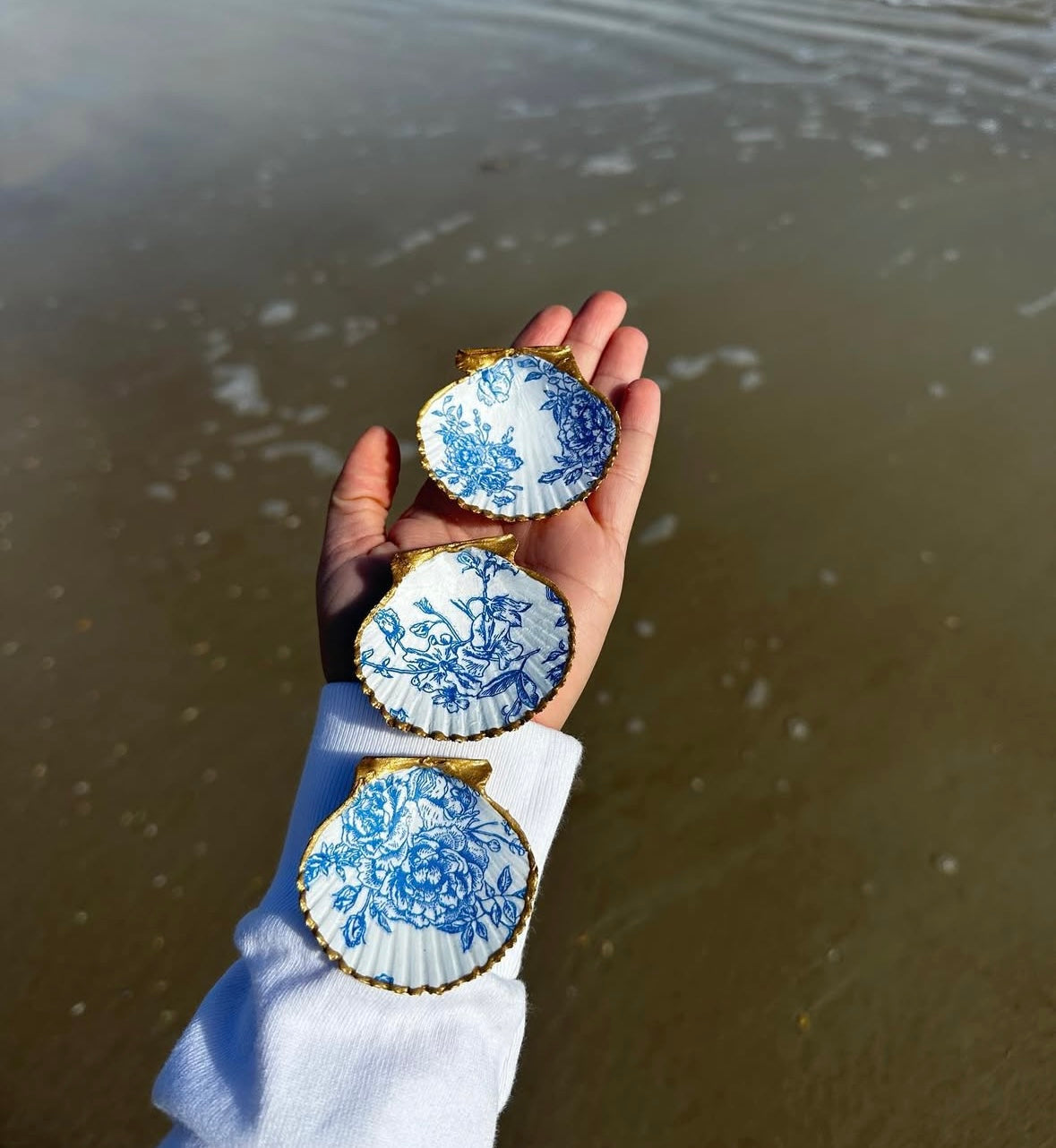 Bridesmaid Scallop Shells set of 6 ( send message if more needed )