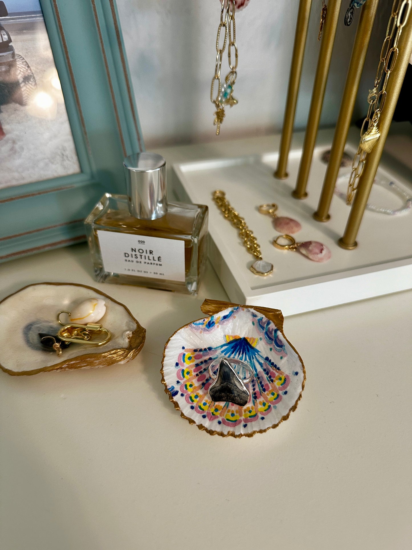 Crystal River Treasure scallop shell