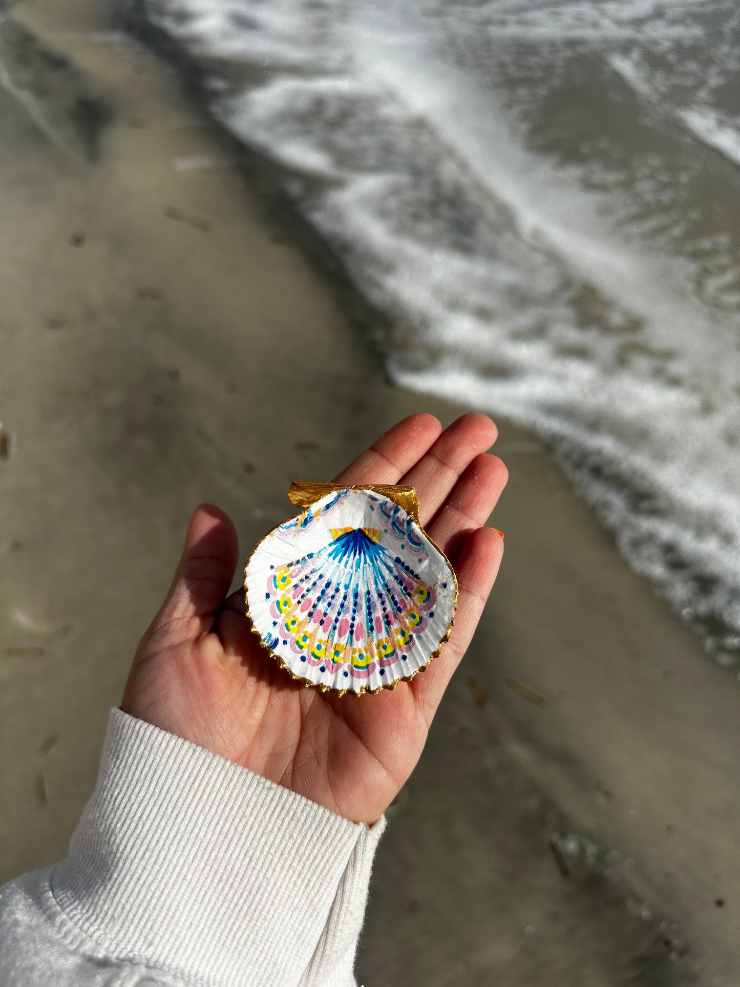 Crystal River Treasure scallop shell