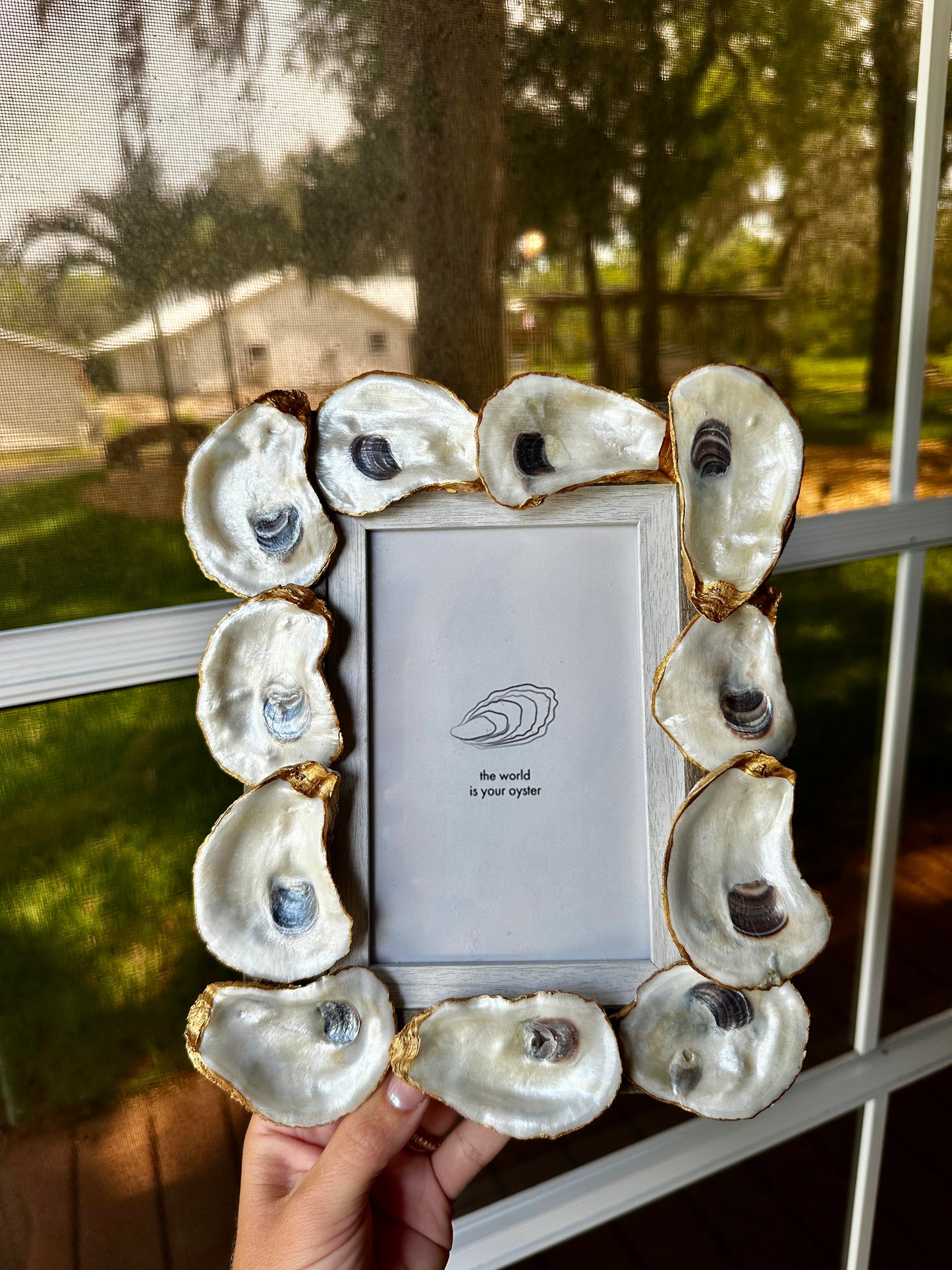 Oyster Frame