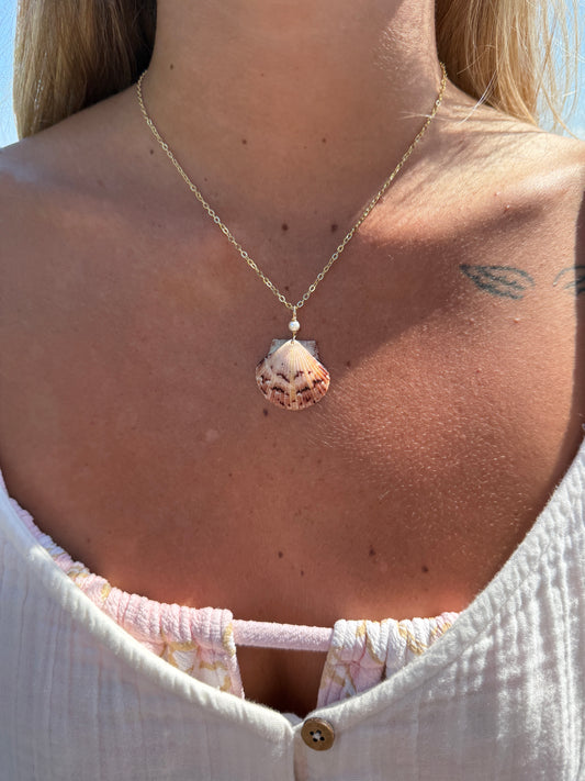 Coco Loco Shell Necklace