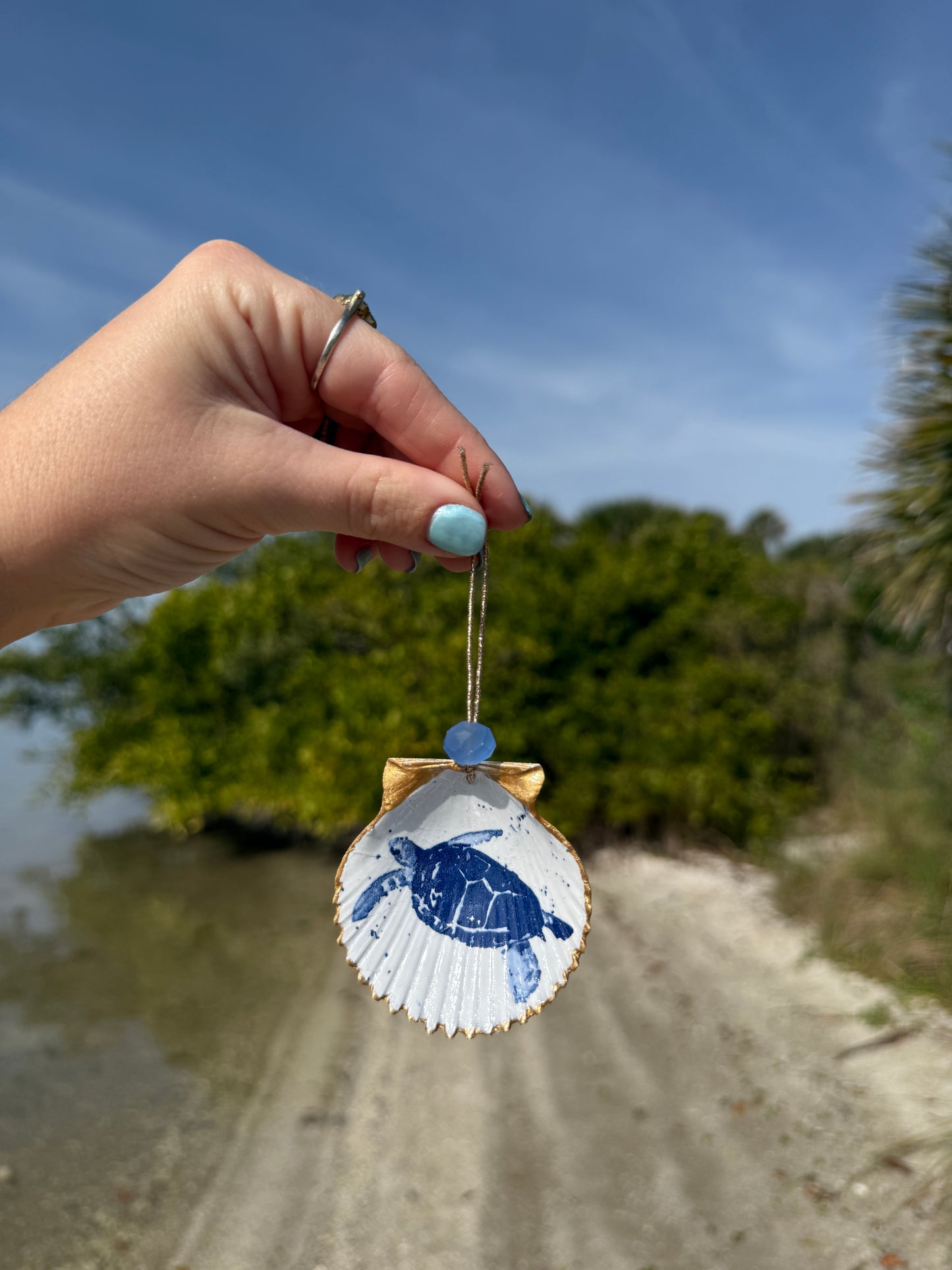 Turtle Scallop Ornament