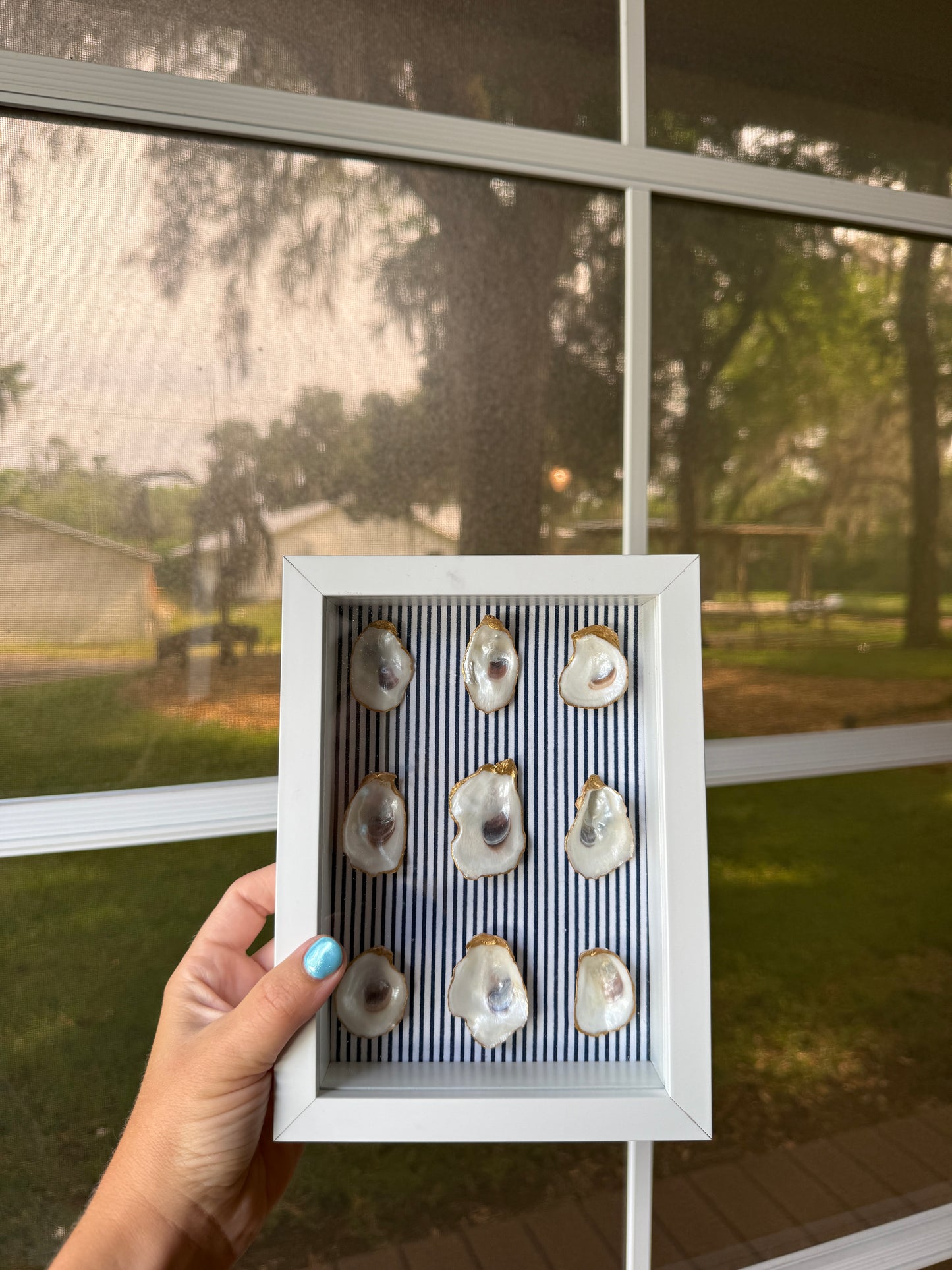 Oyster Shadow Box