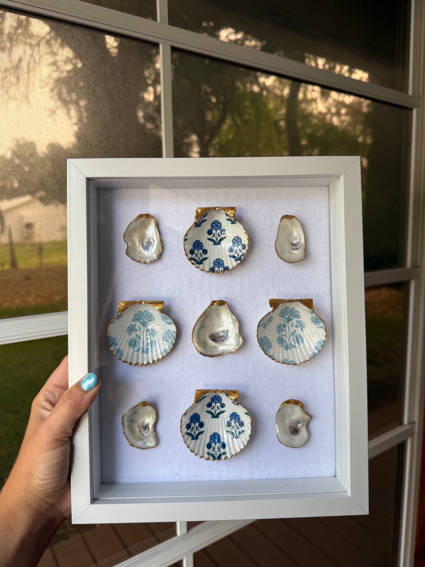 Oyster & Scallop Shadow Box