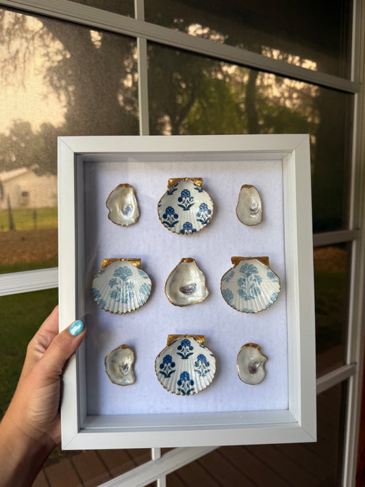 Oyster & Scallop Shadow Box